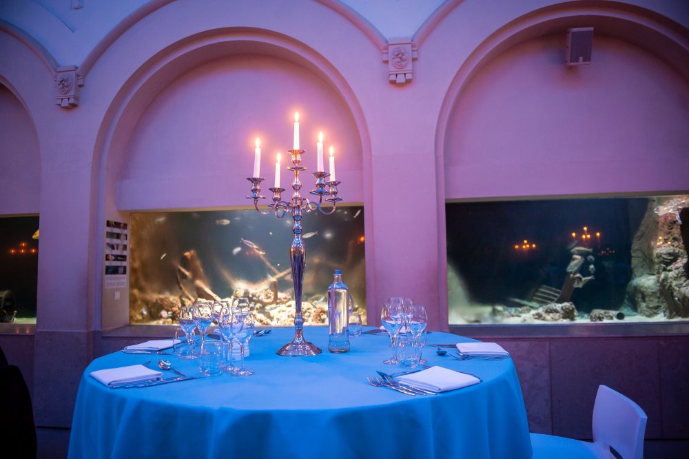 aquarium in dining room