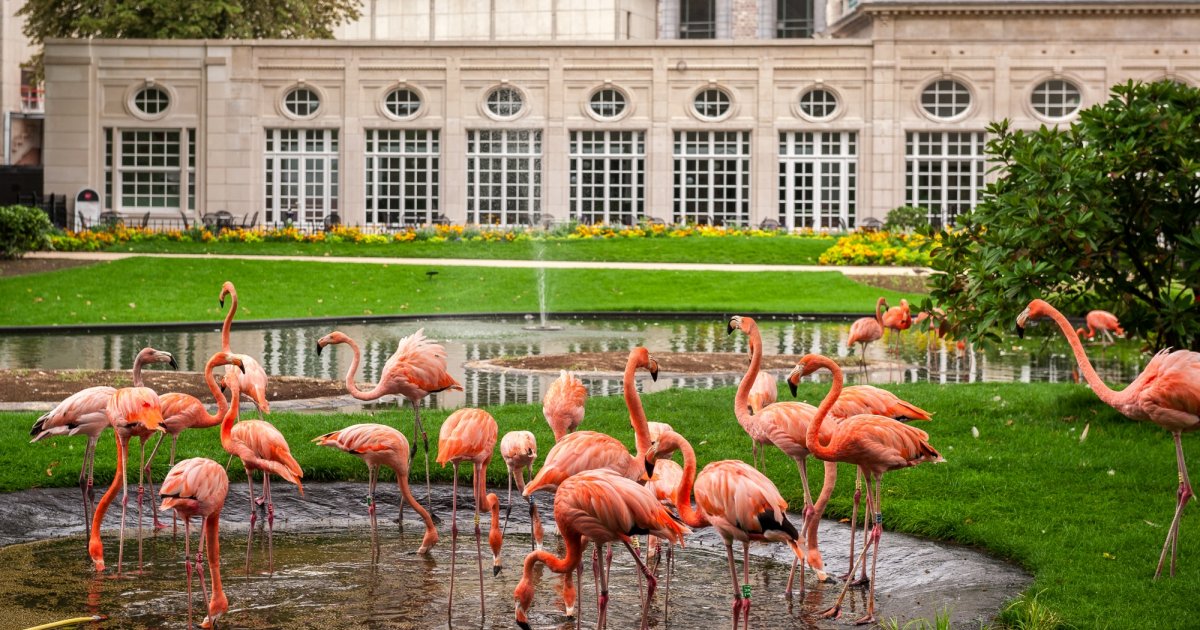 This is A Room with a ZOO.... - A Room With A ZOO - News - A Room With ...