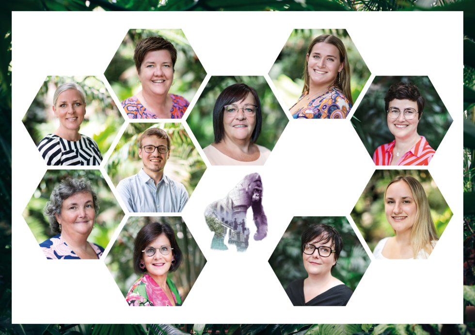 Our sales team: An, Kathleen, Petra, Camille, Lieve, Glen, Marleen, Ilse, Inge, Anne